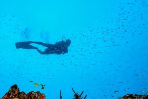 Diving